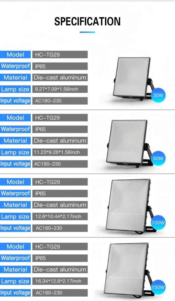HC-TG29-100W-4